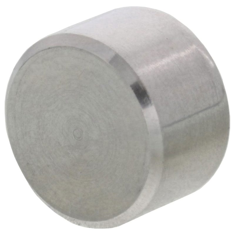 1/4" Type 316 Stainless Steel End Cap for Capping Hex Nut#Size_1/4"